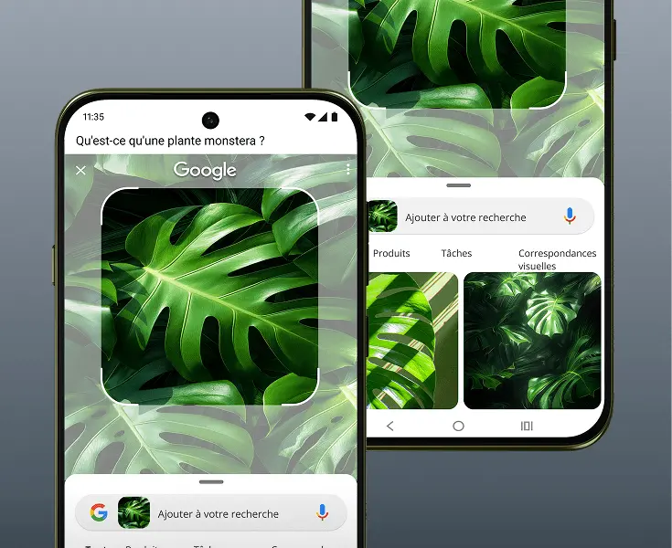 catchall image