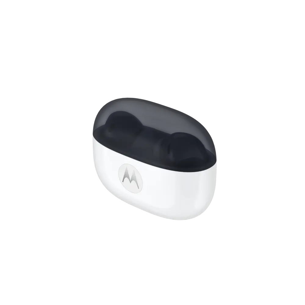 render 6