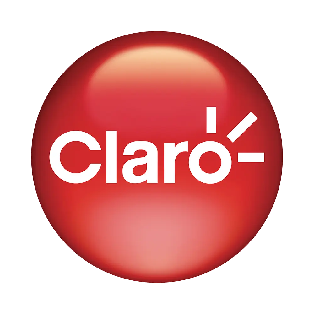 Logo 1