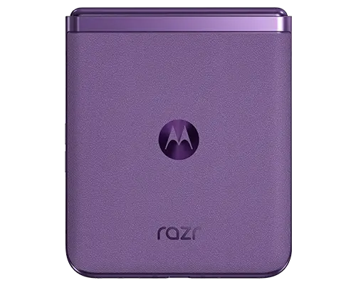 Summer-Lilac-backside-fold-500x400-0703.png