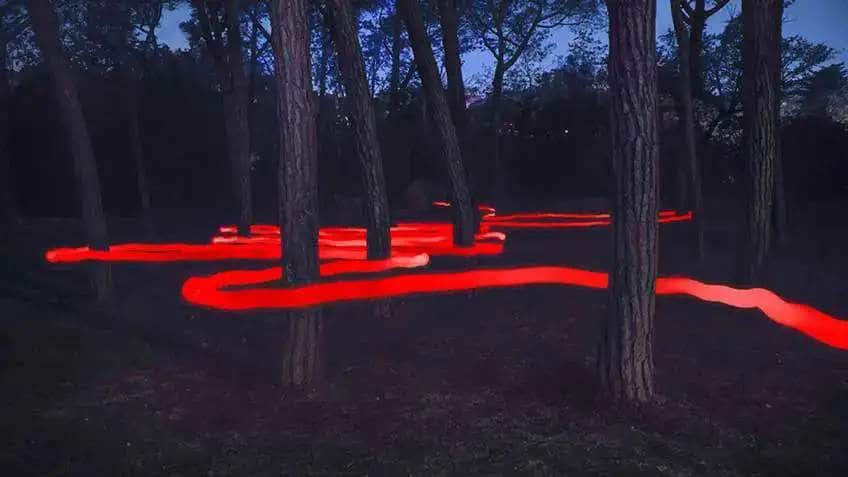 Une lumière rouge serpente autour des troncs des arbres en nuit