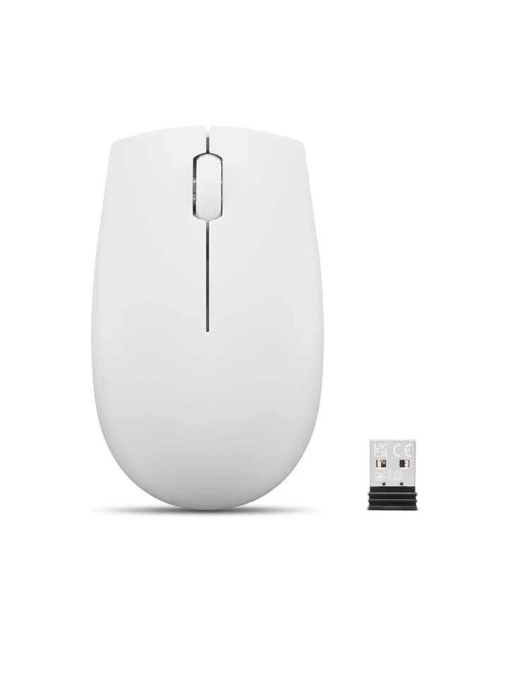 Lenovo 300 Wireless Compact Mouse_Cloud Grey_02.jpg
