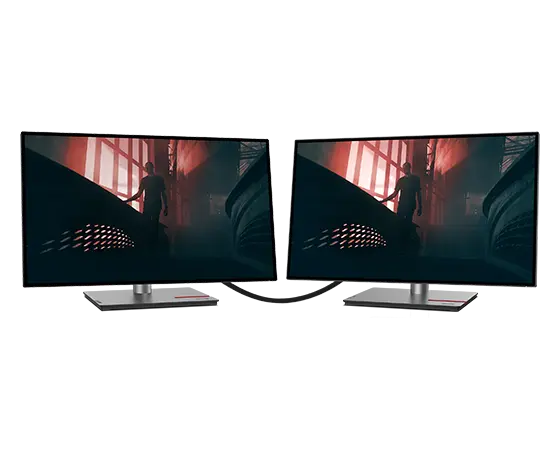 Lenovo Pacchetto monitor x2 ThinkVision 27