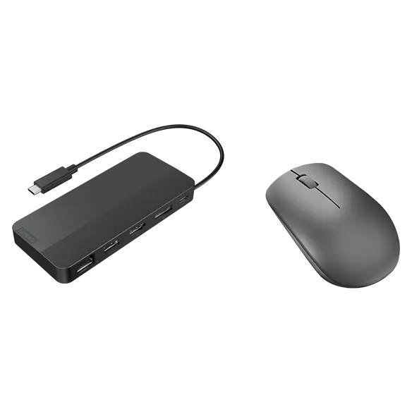 

Lenovo USB-C Dual Display Travel Dock and Lenovo 530 Wireless Mouse