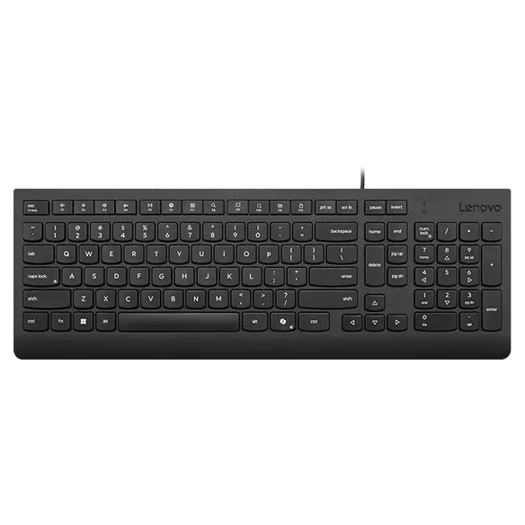 Teclado con cable Lenovo Essential (Negro) | 4Y41R64665 | Lenovo