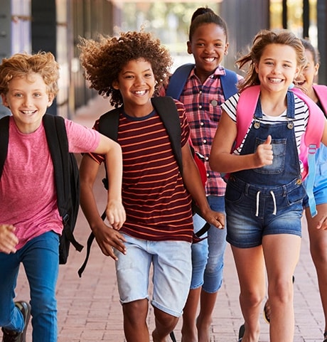 Primary & Middle school