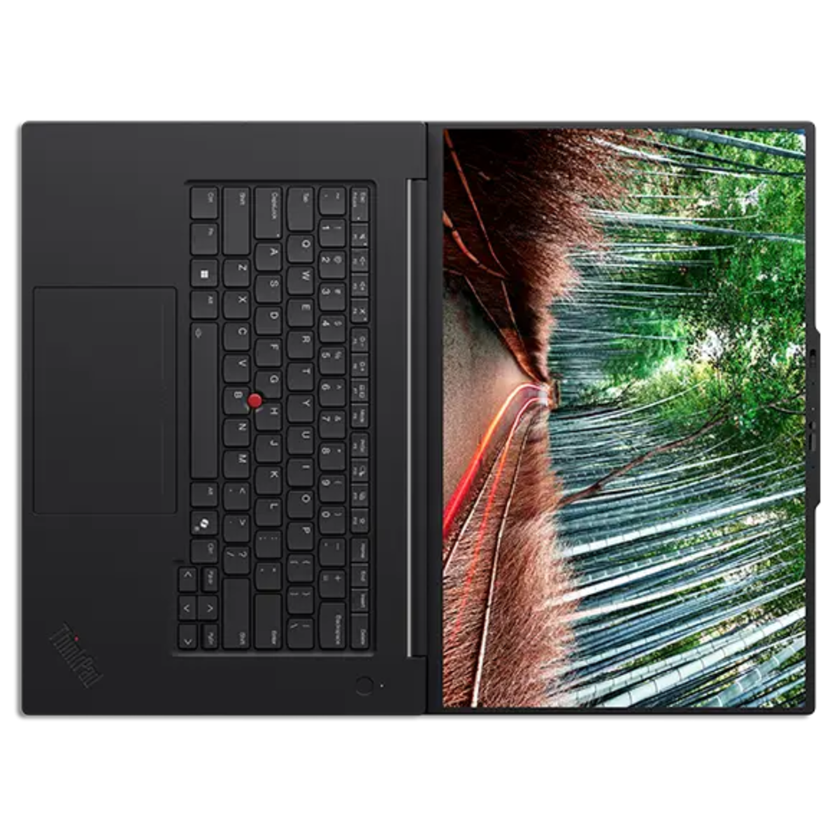 ThinkPad T1g Gen 8 (Intel) - Image 9