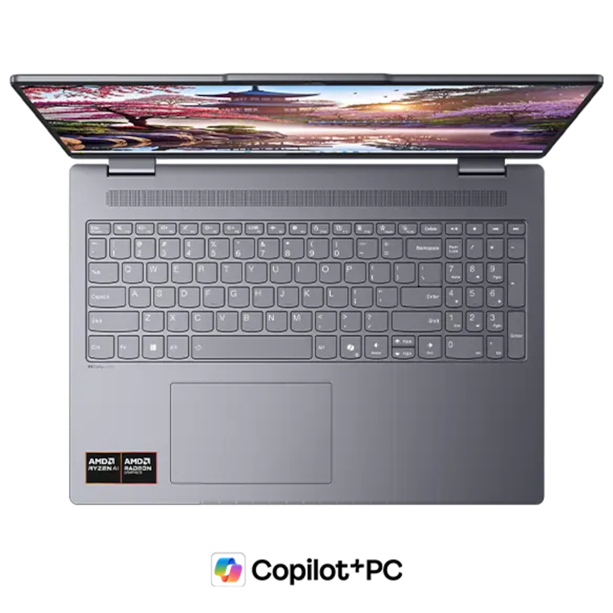 Product photo 6