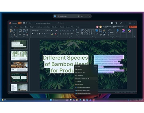 A PowerPoint presentation on bamboo species, edited seamlessly on the Lenovo Yoga AIO i Gen 11 Aura Edition PC.