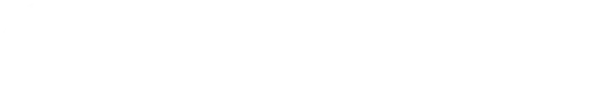 Banner Logo