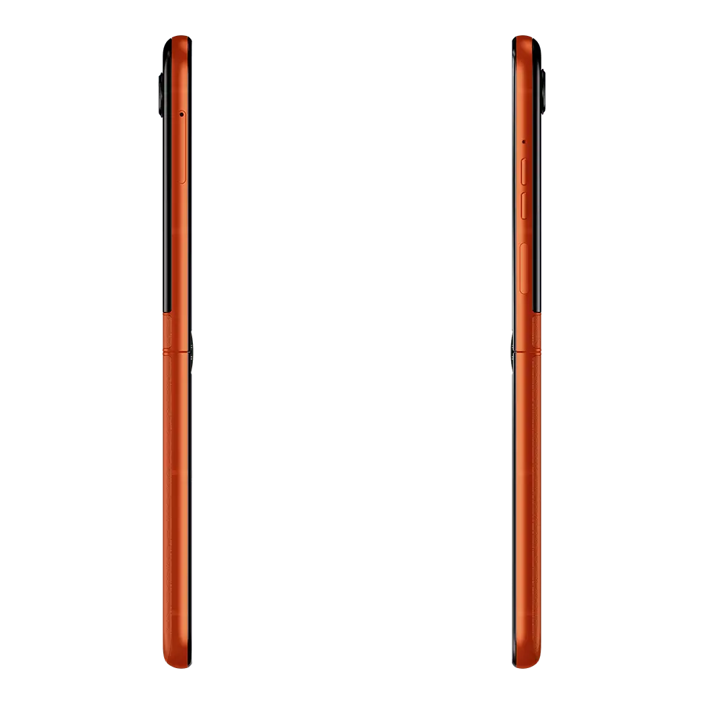 169625-1600-auto.png
