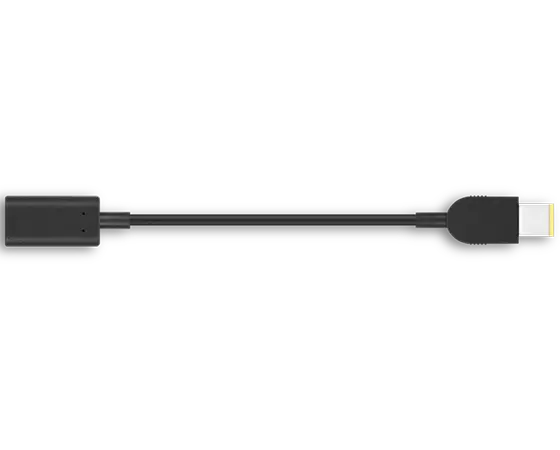 Bekræftelse Merchandising chokerende Lenovo USB-C to Slim-tip Cable Adapter | Lenovo US