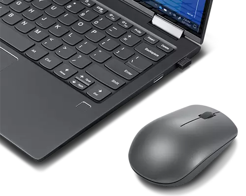 Lenovo Select Wireless Basic Mouse