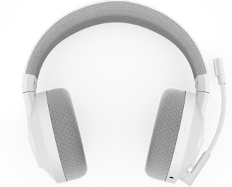 Lenovo Legion H600 Wireless Gaming Headset (Stingray) | GXD1C98345