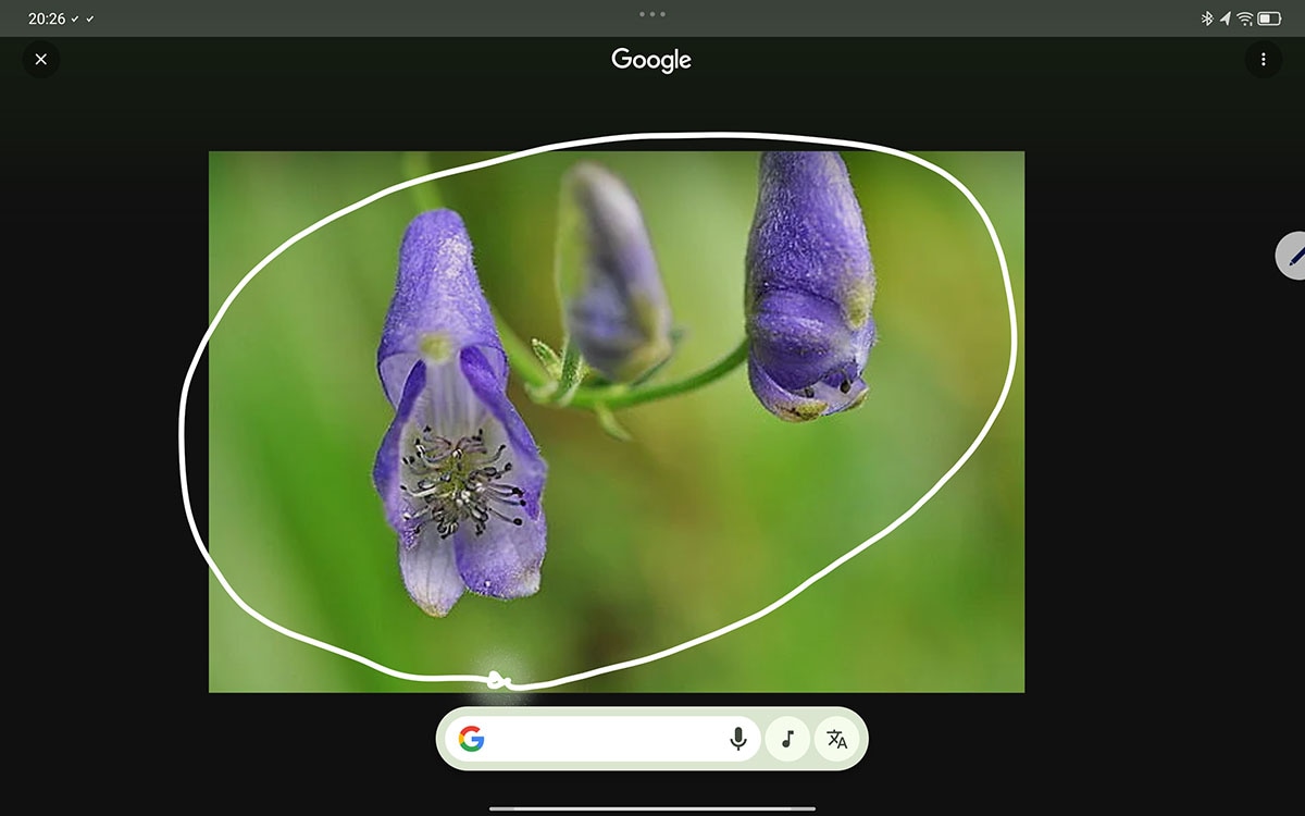 ホームボタンを長押しすると「かこって検索」が使える。知りたい部分を囲ってみよう