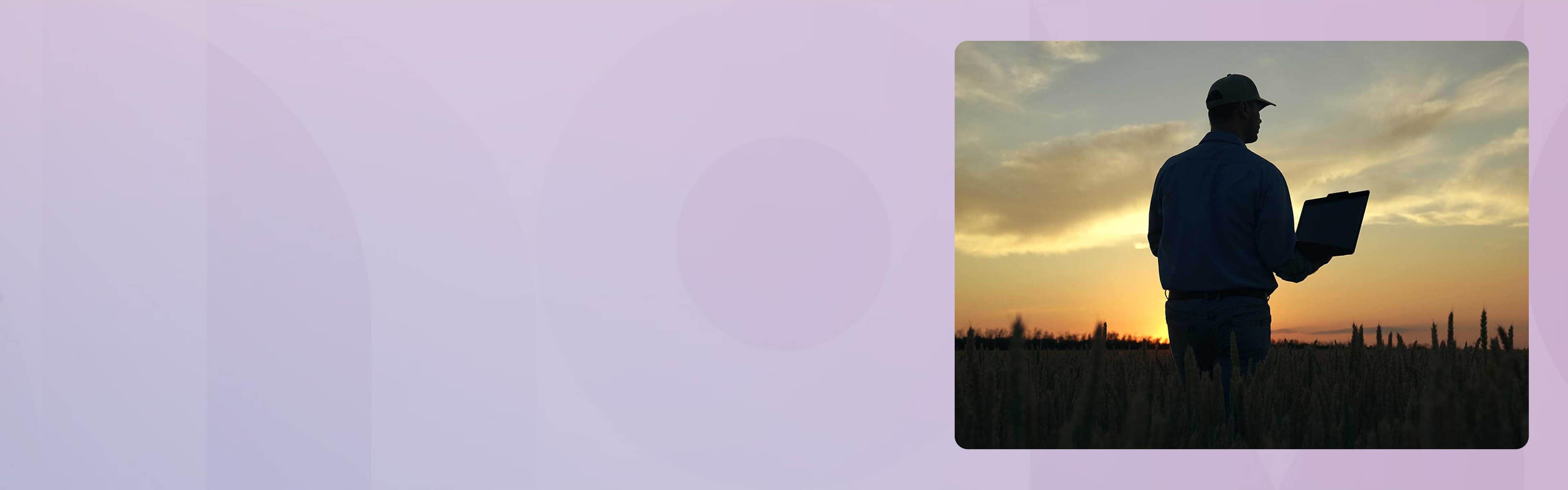 A silhouette of a grower in a field at dusk holding his laptop.