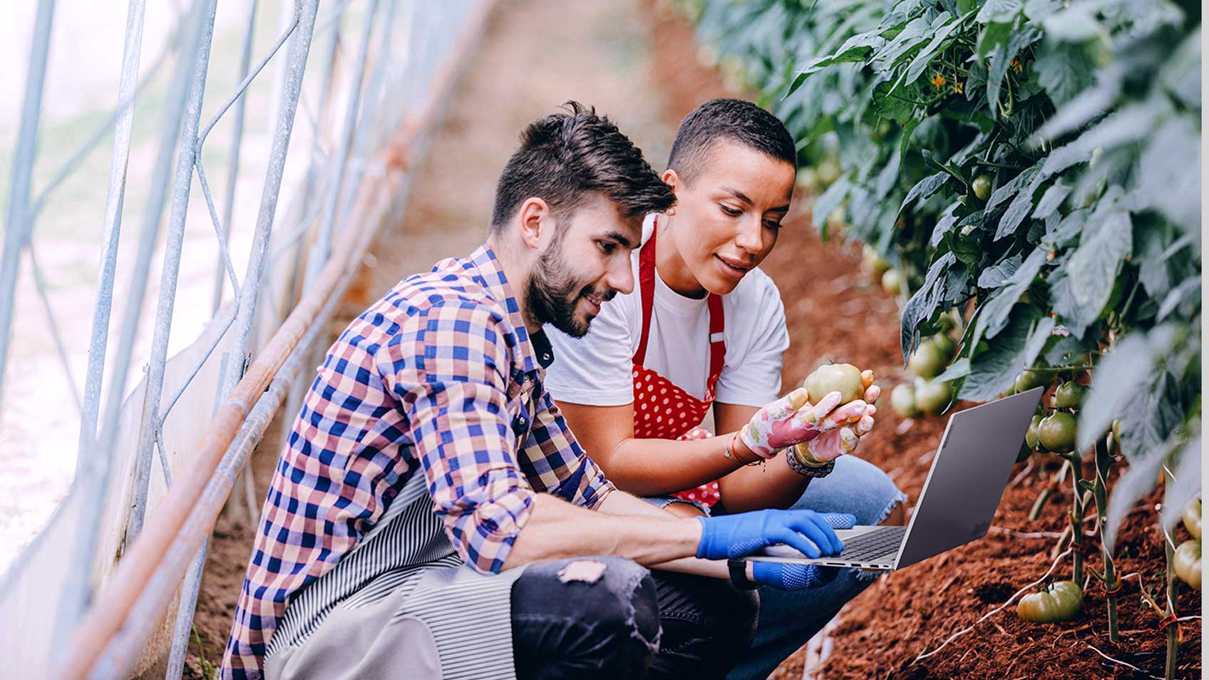 Two people crouching in a greenhouse and using a laptop