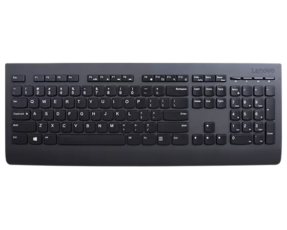 Lenovo Professional Wireless Keyboard - Swiss French/German (150)